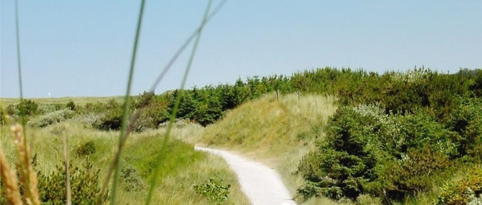 Cycle to the beach